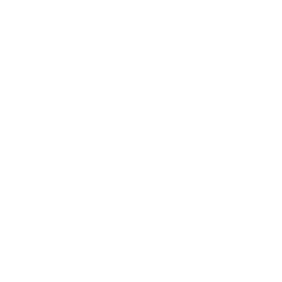 Grupo Positivo