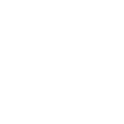 Grupo Marista