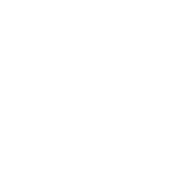 The Straumann Group